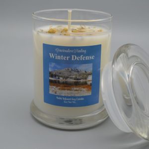 Winter Defense All Natural Reiki Infused Soy Candle